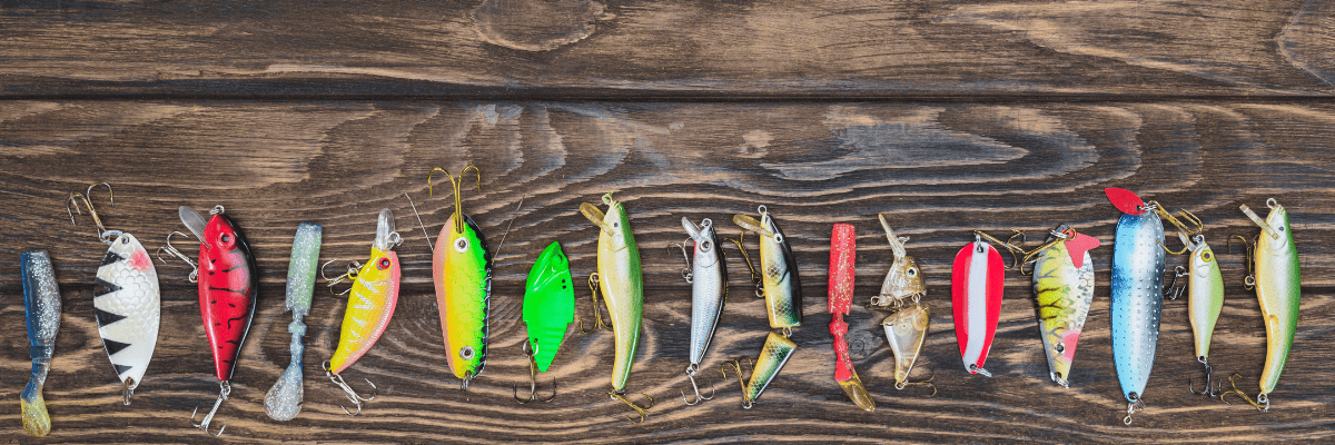 Kunstaas - Bivakshop