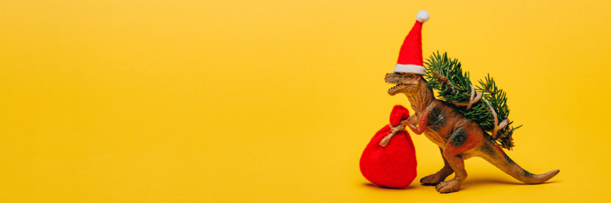 SINTERKLAAS CADEAUS - Bivakshop