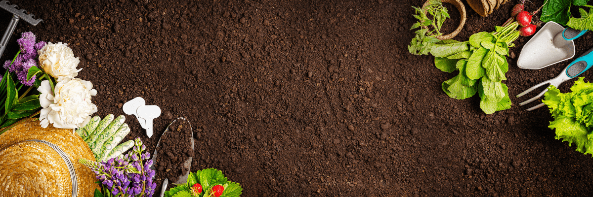 Tuin & Buitengereedschap - Bivakshop