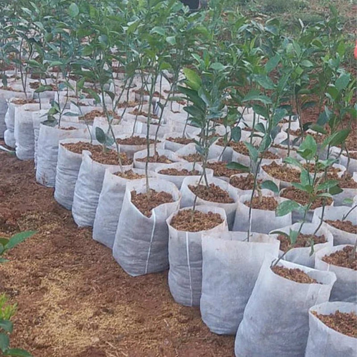 biologisch afbreekbare kweekzakjes tuinieren