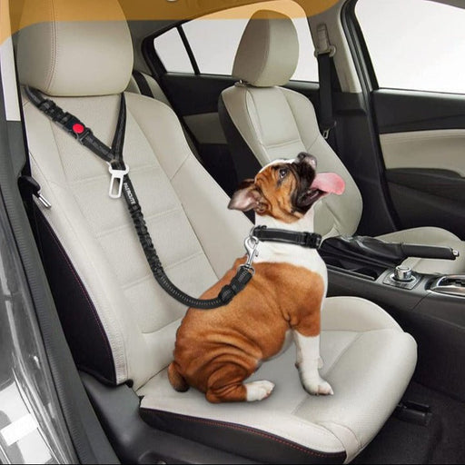 Honden autogordel – verstelbaar – elastisch & duurzaam nylon - Bivakshop