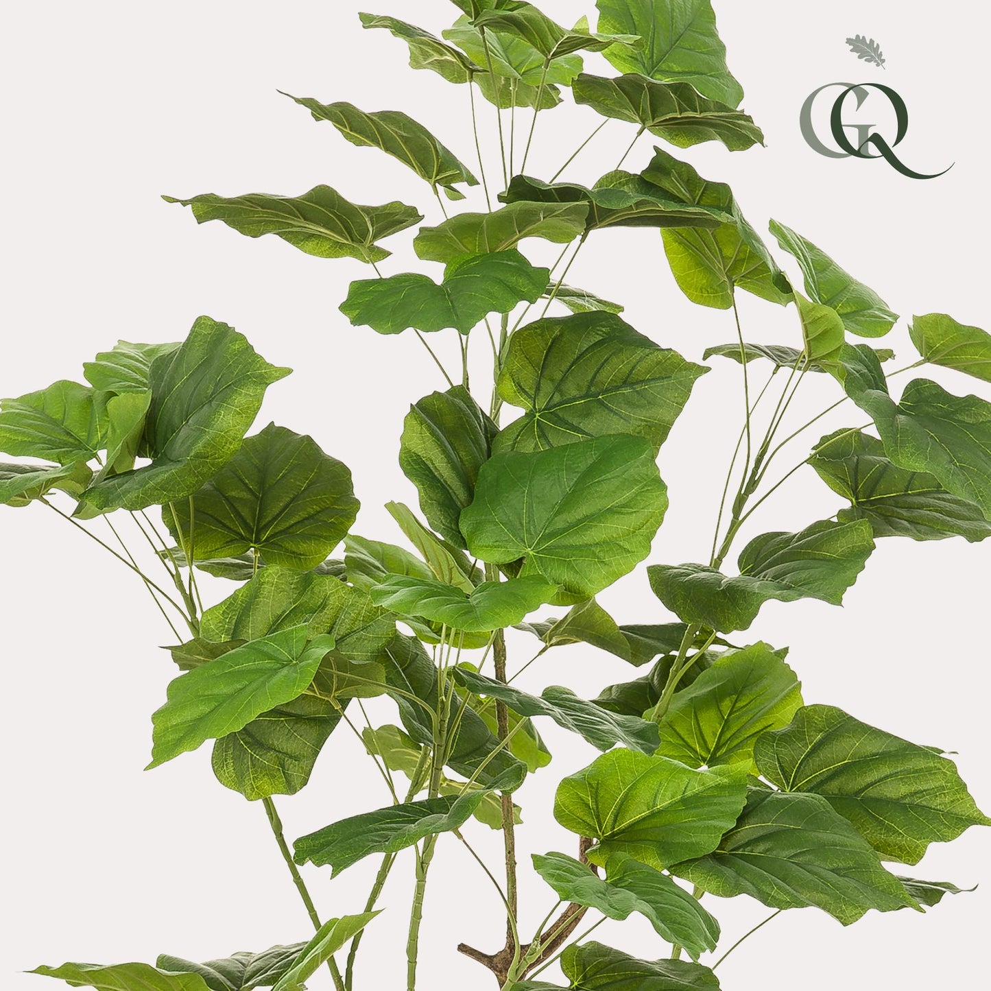 Kunstplant - Ficus Umbellata - Afrikaanse Vijg - 125Cm - Bivakshop