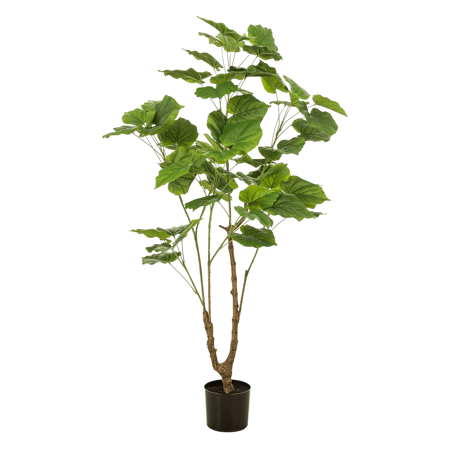 Kunstplant - Ficus Umbellata - Afrikaanse Vijg - 125Cm - Bivakshop