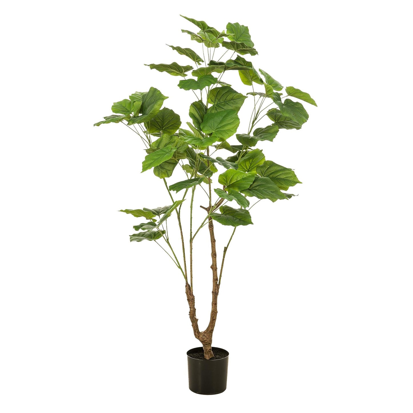 Kunstplant - Ficus Umbellata - Afrikaanse Vijg - 125Cm - Bivakshop