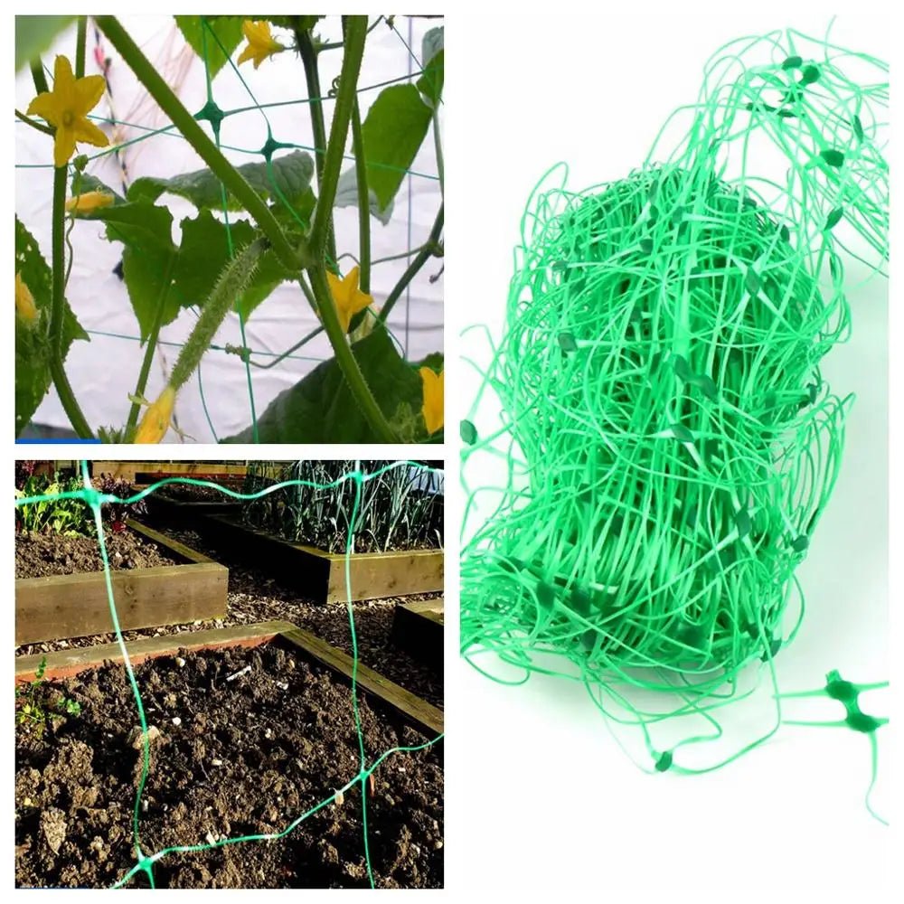 Plastic klimnet voor planten - Steun voor klimplanten en bloemen - Trellis net voor tuin - Bivakshop