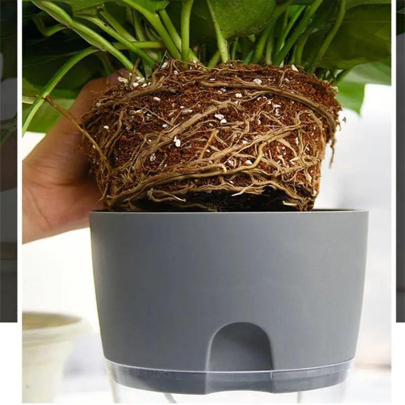 Transparante Zelfbewaterende Bloempot – Dubbele Laag – Indoor Plantenpot met Waterabsorptie Katoentouw - Bivakshop
