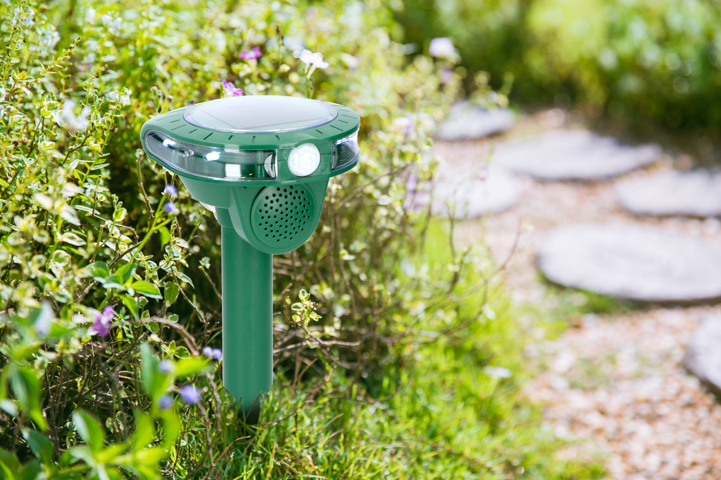 Ultrasone insectenverjager - Bewegingssensor - Veilig voor mensen en huisdieren - Bivakshop