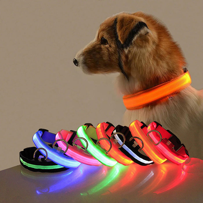 Verlichte hondenhalsband – Verstelbaar – Veilig in het donker - Bivakshop