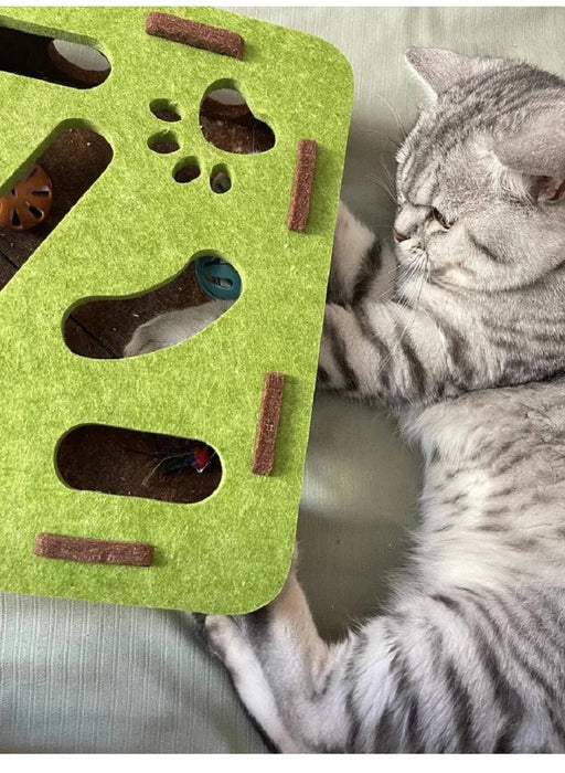 Vilten Puzzeldoos voor Katten – Interactief Doolhof met Speelbal - Bivakshop