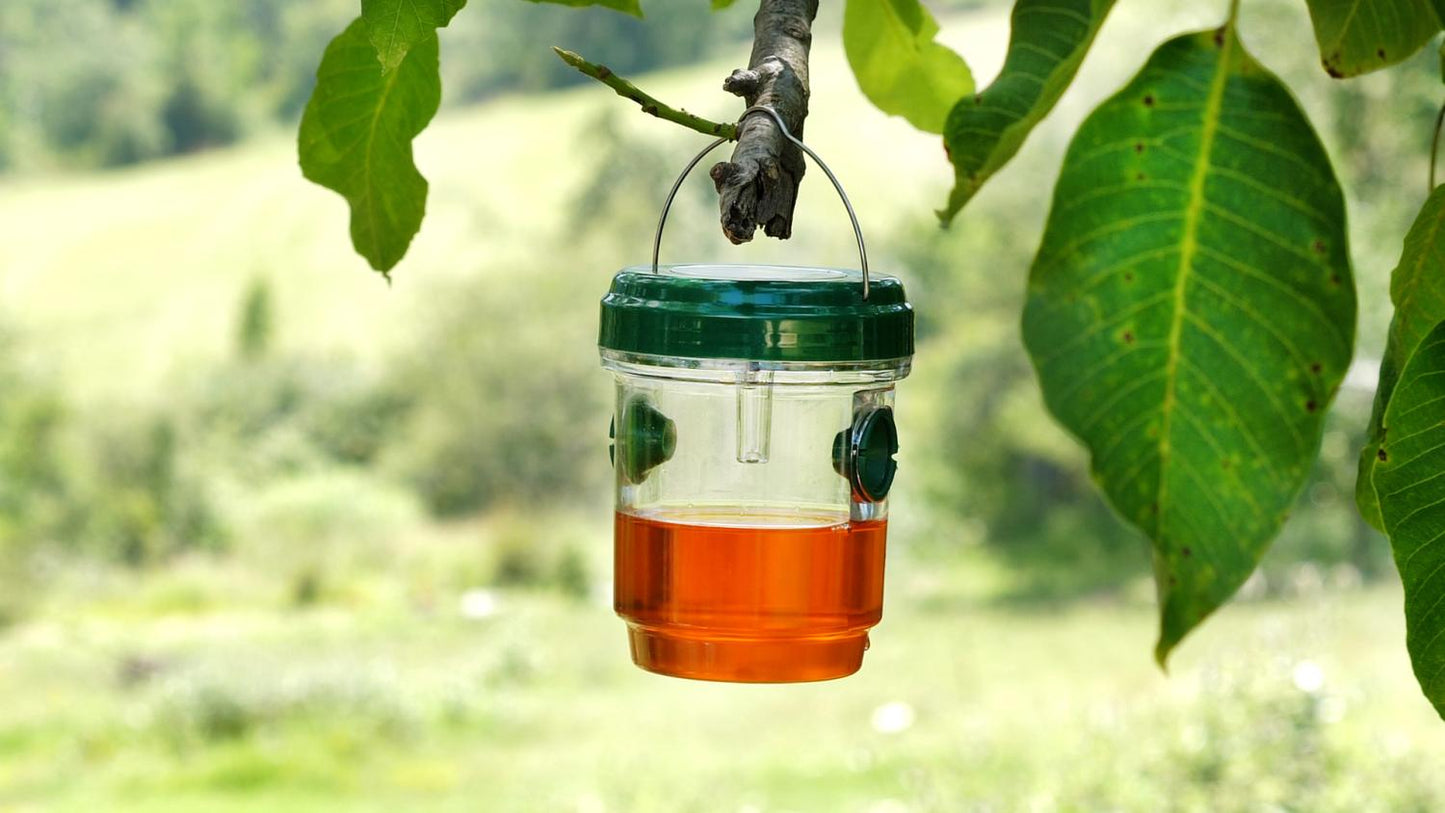 Insectenval op zonne-energie - Genius Ideas - Bivakshop
