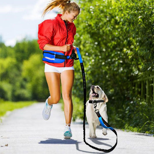 Reflecterende sportieve hondenriem met elastische uitbreiding en opbergzak - Bivakshop