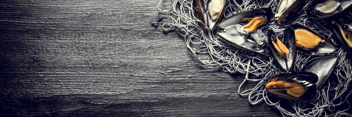 Netten, Onthaken, Wegen & Bewaren - Bivakshop