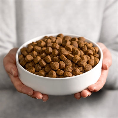 Smølke Grain Free hondenvoer (Kip, Lam & Vis)