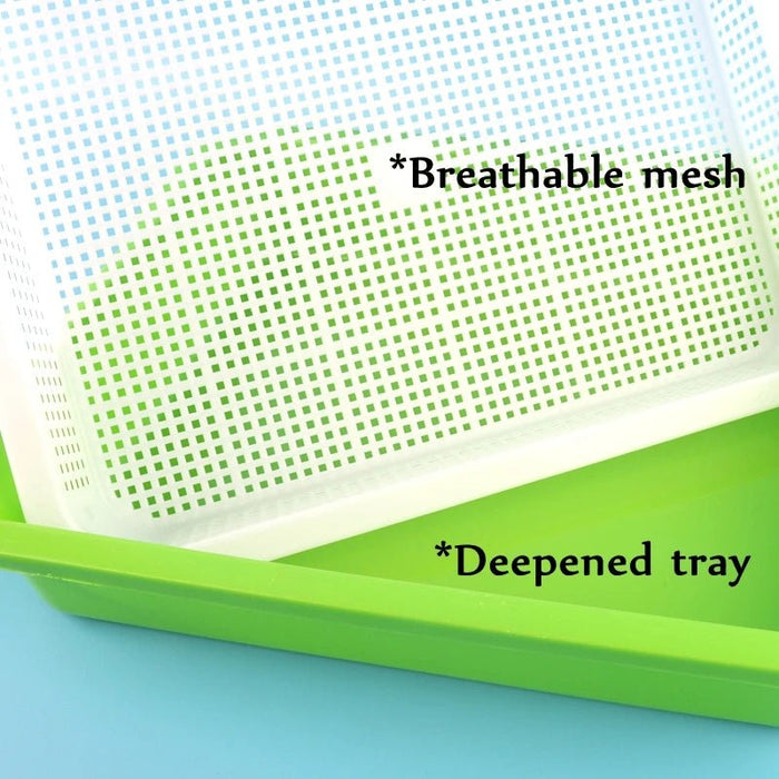 1set Sprout Dish Growing Pot Hydroponic Vegetable Beans Seeding Pot Household Plants Germination Tray Nursery With Lid Kits - Bivakshop