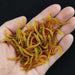 20PCS - 100pcs Lifelike Red Worm Soft Lure Earthworm ice winter Fishing Silicone Artificial Bait Fishy Shrimp Additive Bass Carp - Bivakshop