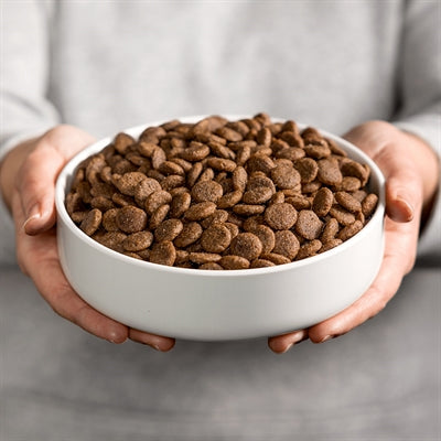 Smølke Sensitive Lamb hondenvoer