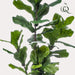 Green Boutiq Ficus Lyrata kunstplant 150 cm