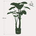 Green Boutiq Alocasia kunstplant 110 cm