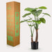 Green Boutiq Alocasia kunstplant 110 cm