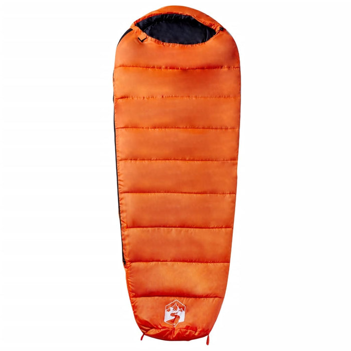 Slaapzak Mummie 3 Seizoenen - 1.3 kg, Waterbestendig, Voor Kamperen