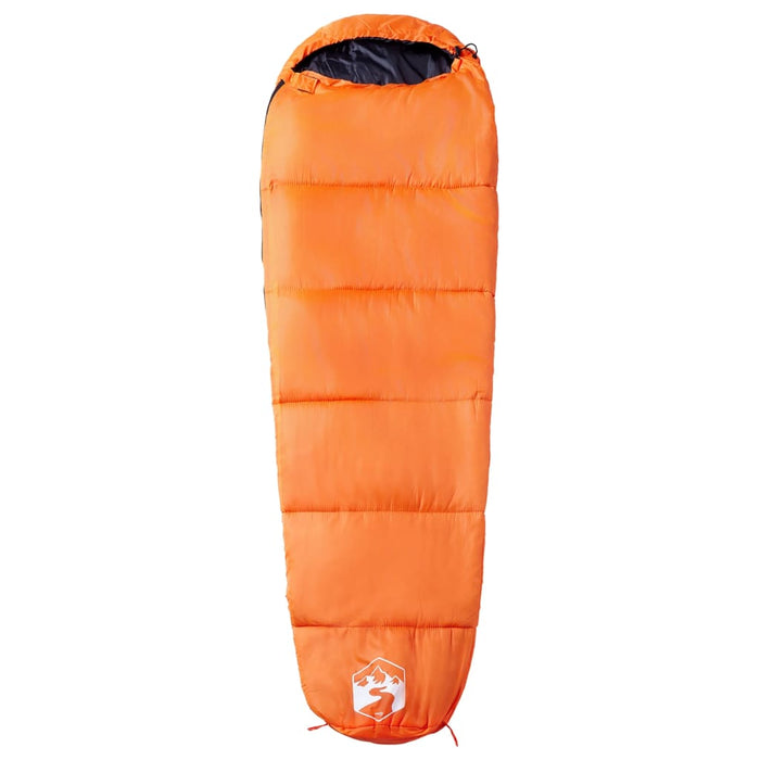 Slaapzak Mummie 3 Seizoenen 222x74 cm 800 gr - 4 Kleuren