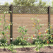 spiraal plantensteun staal 110 cm set