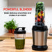 Alpina - Smoothie Maker – 1200W – RVS Design – Krachtig & Geschikt voor IJs - Bivakshop
