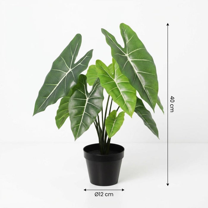 Artificial Alocasia Polly – Compacte Kunstplant – 40 cm – Onderhoudsvrij Groen - Bivakshop
