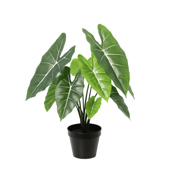 Artificial Alocasia Polly – Compacte Kunstplant – 40 cm – Onderhoudsvrij Groen - Bivakshop