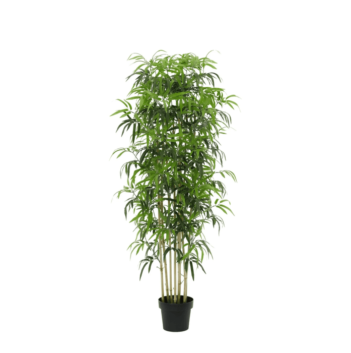 Artificial Bamboe XXL – Realistische Kunstplant – 180 cm – Onderhoudsvrij & Elegant - Bivakshop