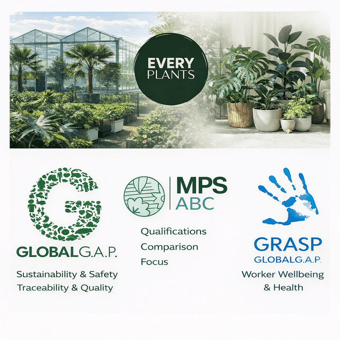 Artificial Bamboe XXL – Realistische Kunstplant – 180 cm – Onderhoudsvrij & Elegant - Bivakshop