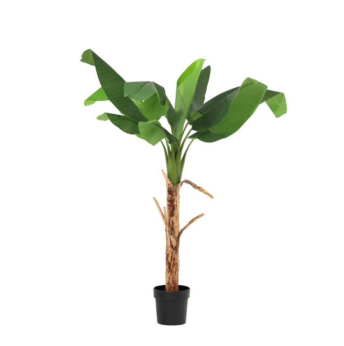 Artificial Bananenplant Musa – Tropische Kunstplant – 150 cm – Onderhoudsvrij - Bivakshop
