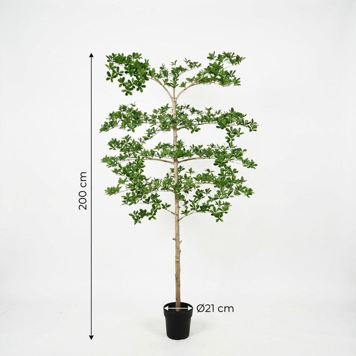Artificial Bucida XXL – Luxe Kunstplant – 200 cm – Onderhoudsvrij & Elegant - Bivakshop