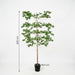 Artificial Bucida XXL – Luxe Kunstplant – 200 cm – Onderhoudsvrij & Elegant - Bivakshop