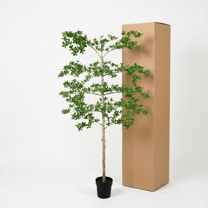 Artificial Bucida XXL – Luxe Kunstplant – 200 cm – Onderhoudsvrij & Elegant - Bivakshop
