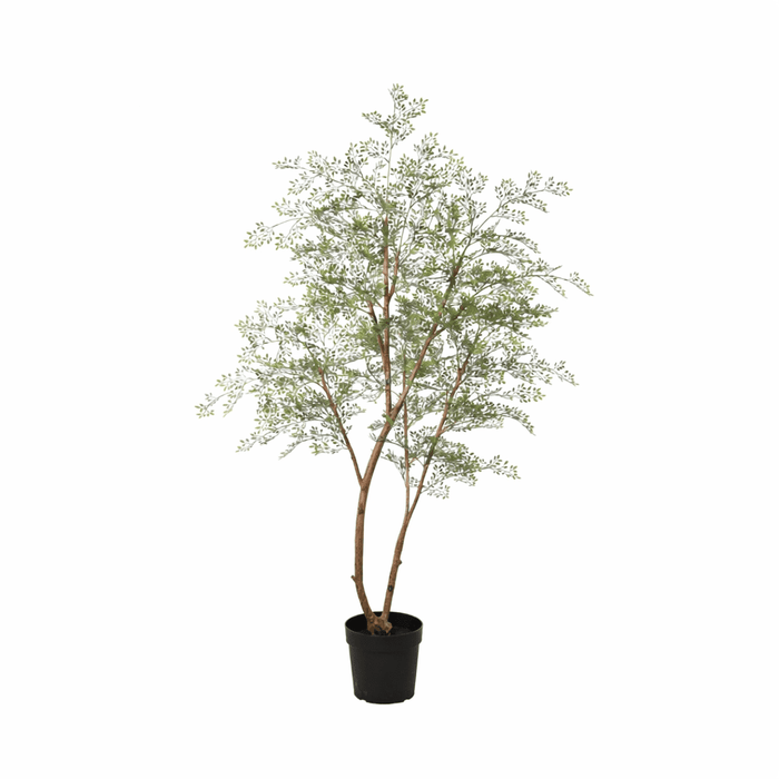 Artificial Cassia Boom XXL – Realistische Kunstplant – 180 cm – Onderhoudsvrij & Tropisch - Bivakshop