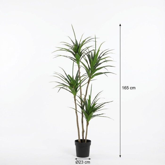 Artificial Dracaena – Luxe Kunstplant – 165 cm – Onderhoudsvrij & Modern - Bivakshop