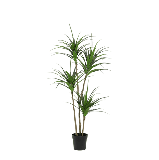 Artificial Dracaena – Luxe Kunstplant – 165 cm – Onderhoudsvrij & Modern - Bivakshop