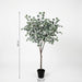 Artificial Eucalyptus Boom – Luxe Kunstplant – 150 cm – Onderhoudsvrij & Stijlvol - Bivakshop