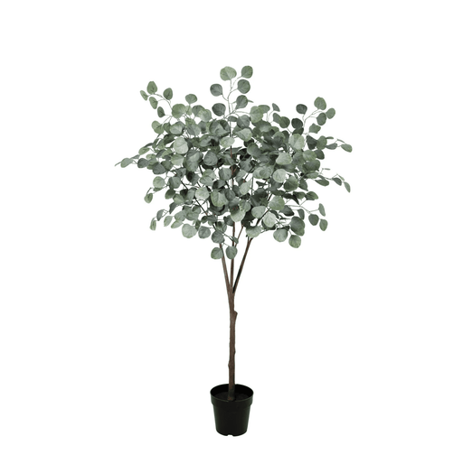 Artificial Eucalyptus Boom – Luxe Kunstplant – 150 cm – Onderhoudsvrij & Stijlvol - Bivakshop