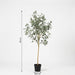 Artificial Eucalyptus XXL – Realistische Kunstplant – 180 cm – Onderhoudsvrij & Elegant - Bivakshop