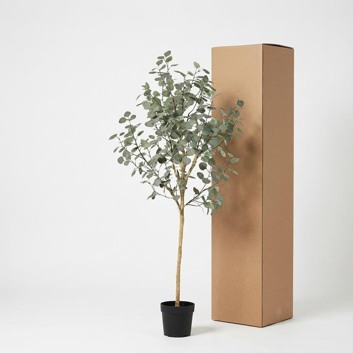 Artificial Eucalyptus XXL – Realistische Kunstplant – 180 cm – Onderhoudsvrij & Elegant - Bivakshop