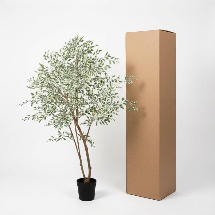 Artificial Ficus Benjamina Variegata – Luxe Kunstplant – 185 cm – Onderhoudsvrij & Elegant - Bivakshop