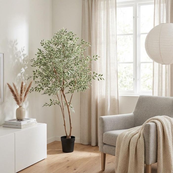 Artificial Ficus Benjamina Variegata – Luxe Kunstplant – 185 cm – Onderhoudsvrij & Elegant - Bivakshop