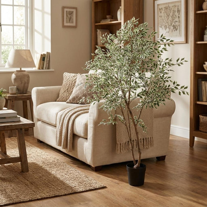 Artificial Ficus Benjamina Variegata – Luxe Kunstplant – 185 cm – Onderhoudsvrij & Elegant - Bivakshop
