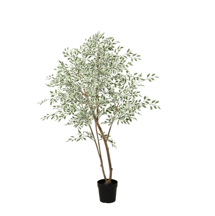 Artificial Ficus Benjamina Variegata – Luxe Kunstplant – 185 cm – Onderhoudsvrij & Elegant - Bivakshop