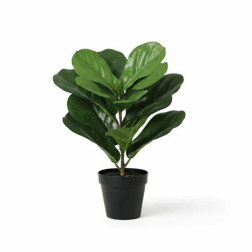 Artificial Ficus Lyrata – Compacte Kunstplant – 40 cm – Onderhoudsvrij Groen - Bivakshop