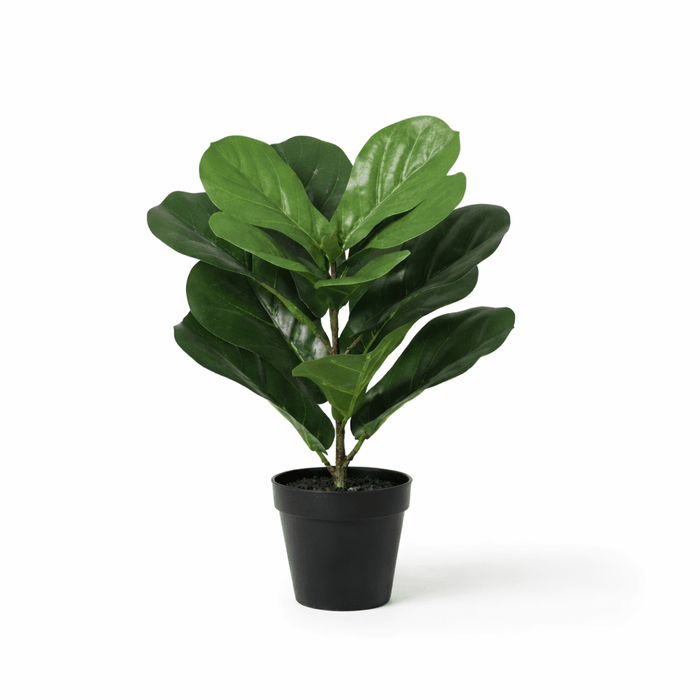 Artificial Ficus Lyrata – Compacte Kunstplant – 40 cm – Onderhoudsvrij Groen - Bivakshop