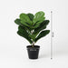Artificial Ficus Lyrata – Compacte Kunstplant – 40 cm – Onderhoudsvrij Groen - Bivakshop