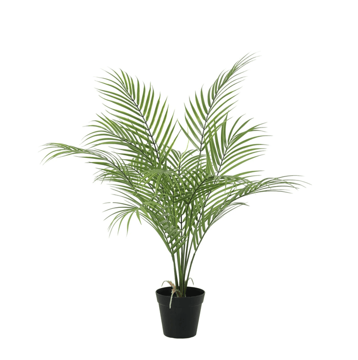 Artificial Kentia Palm – Luxe Kunstplant – 65 cm – Onderhoudsvrij & Elegant - Bivakshop